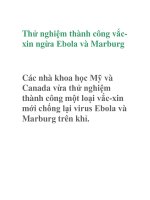 Thử nghiệm thành công vắcxin ngừa Ebola và Marburg docx