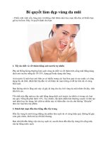 Bí quyết làm đẹp vùng da mũi docx