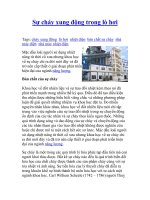 Sự cháy xung động trong lò hơi pot