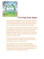 Two frogs from Japan