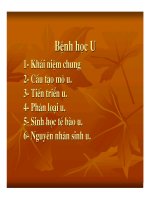 giải phẫu bệnh u