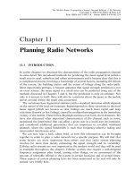 Điện thoại di động vô tuyến điện - Tuyên truyền Channel P11 pps