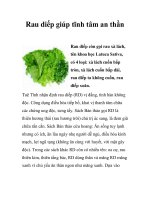 Rau diếp giúp tĩnh tâm an thần docx