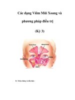 Các dạng Viêm Mũi Xoang và phương pháp điều trị (Kỳ 3) pps