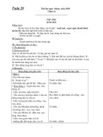giáo án lớp 1 tuần 29 CKTKN