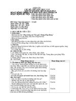 Tạo Hình -Vẽ hoa mùa xuân-G.án dự thi GVDG năm học 2009-2010