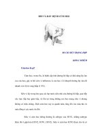HỎI VÀ ĐÁP BỆNH CÚM HEO pdf
