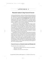FINANCIAL ANALYSIS: TOOLS AND TECHNIQUES APPENDIX ppsx