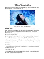 “Chăm” da mùa đông pps