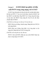 thiết kế hệ thống IMS trong NGN, chương 9 potx