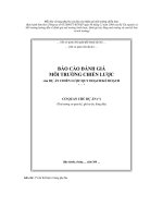 Mẫu bìa và trang phụ bìa của báo cáo đánh giá môi trường chiến lược doc