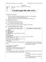 Giáo án lớp 5 - TUAN 31