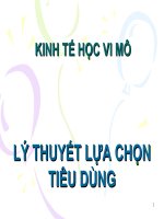 Kinh tế vi mô Chương 3 potx