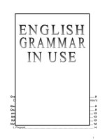 English grammar in use