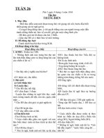 GIÁO ÁN TUẦN 26 L4( có tăng buổi)T+ TV
