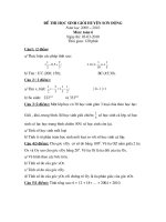 dethi HSg huyen son dong 2010