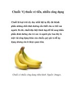 Chuối: Vị thuốc rẻ tiền, nhiều công dụng doc
