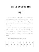 ĐẠI CƯƠNG SỐC TIM (Kỳ 1) pps