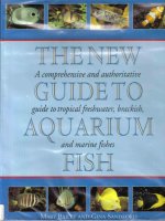 The new guide to aquarium fish pdf