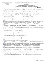 Đề và ĐA thi HSG Lý 12 Thái Bình 2009