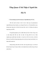 Tổng Quan về Sỏi Thận ở Người lớn (Kỳ 5) ppsx