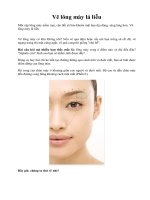 Vẽ lông mày lá liễu docx