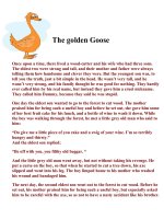 The golden goose