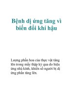 Bệnh dị ứng tăng vì biến đổi khí hậu pot