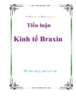 Tiểu luận Kinh tế Braxin ppsx
