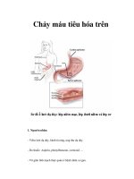 Chảy máu tiêu hóa trên potx