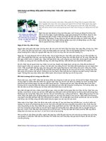 Anh hùng lao động Hà Công Văn (Quảng Trị)