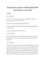 Quy trình cấp và quản lý bảo lãnh Chính phủ đối với các khoản vay nước ngoài pdf