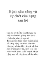 Bệnh sâu răng và sự chết của rạng san hô ppt