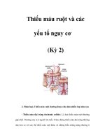 Thiếu máu ruột và các yếu tố nguy cơ (Kỳ 2) pps