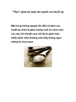 “Mẹo” giảm ăn mặn cho người cao huyết áp pdf