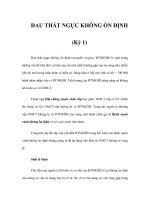 ĐAU THẮT NGỰC KHÔNG ỔN ĐỊNH (Kỳ 1) pot