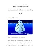 ĐAU THẮT NGỰC ỔN ĐỊNH (BỆNH TIM THIẾU MÁU CỤC BỘ MẠN TÍNH) (Kỳ 2) pdf