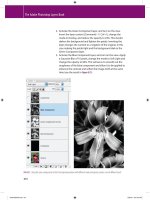 The Adobe Photoshop Layers Book- P9 pdf