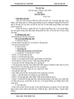 Giáo án Lớp 4-Tuần 26 - 2 buổi