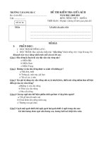 ĐỀ THI TIẾNG VIỆT 4 GKII (DB)