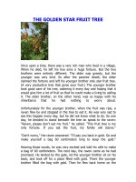 The golden star fruit trees