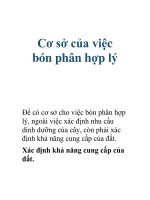 Cơ sở của việc bón phân hợp lý pps