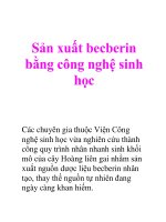 Sản xuất becberin bằng công nghệ sinh học pptx
