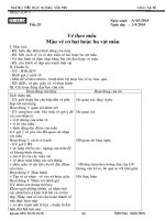 Mỹ thuật 5 CKT từ tuần 28-34