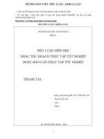 Hướng dẫn viết tiểu luận - khóa luận docx