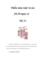 Thiếu máu ruột và các yếu tố nguy cơ (Kỳ 1) pdf