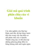 Giải mã quá trình phân chia của vi khuẩn docx