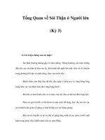 Tổng Quan về Sỏi Thận ở Người lớn (Kỳ 3) pptx