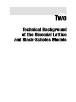 Valuing Employee Stock Options Part 7 docx
