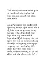 Chất chủ vận dopamine D3 ppsx